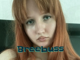 Breebuss