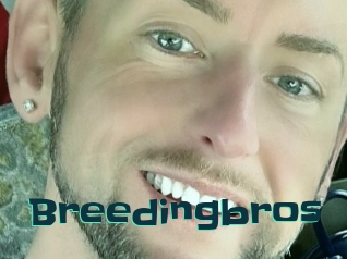 breedingbros Live Cams