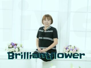 Brilliantflower