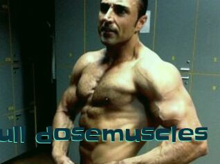 Bull_dosemuscles