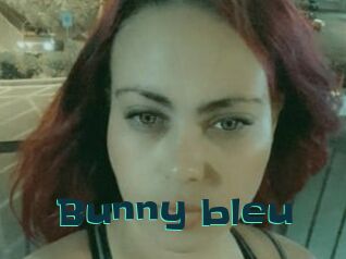 Bunny_bleu