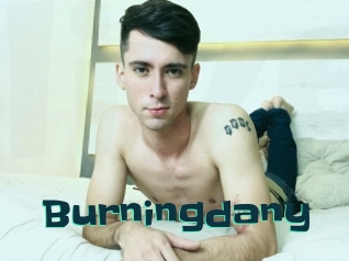 Burningdany