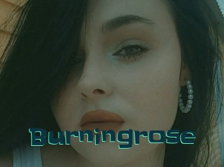 Burningrose