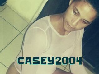 CASEY2004