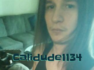 Calidude1134