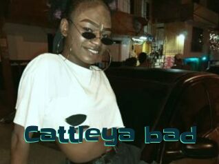 Cattleya_bad