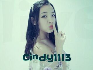 Cindy1113