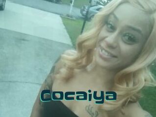 Cocaiya