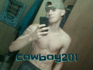 Cowboy201