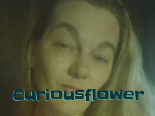 Curiousflower