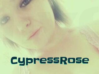 Cypress_Rose