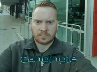 Cangingie