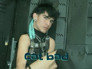 Cat_bad