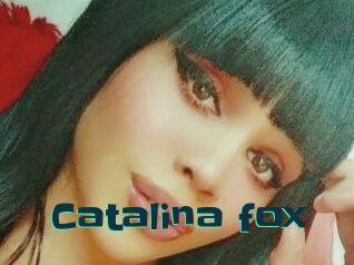 Catalina_fox