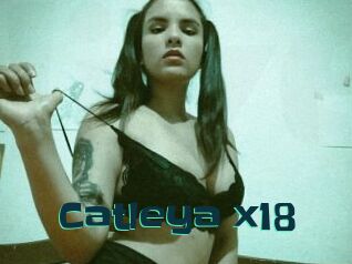 Catleya_x18