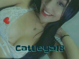 Cattleya18