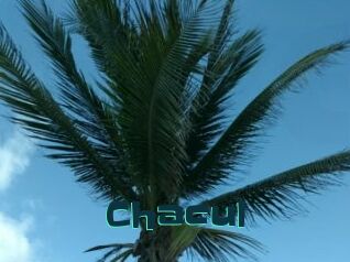 Chacul