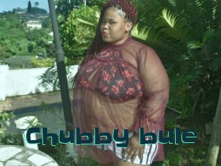 Chubby_bule