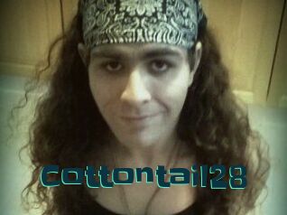 Cottontail28