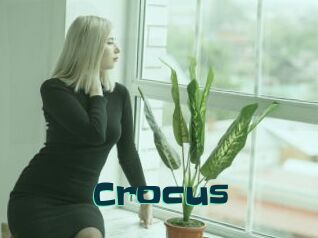 Crocus