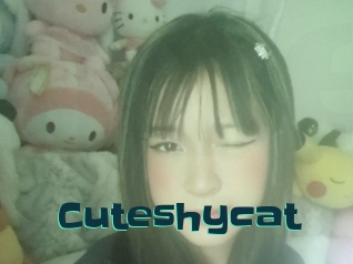 Cuteshycat