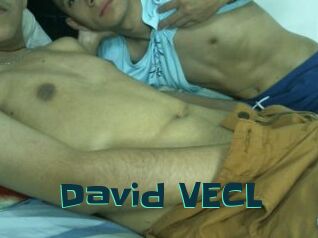 David_VECL