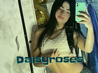 Daisyroses