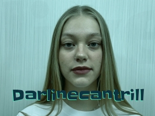 Darlinecantrill