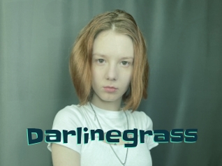 Darlinegrass