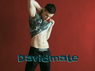 Davidmate