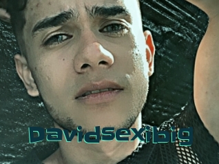 Davidsexibig