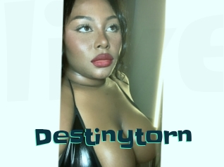 Destinytorn