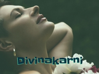 Divinakarni