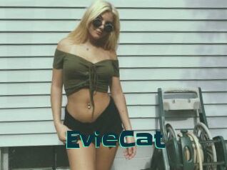 EvieCat