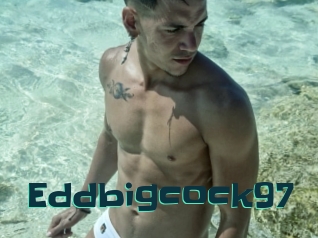 Eddbigcock97