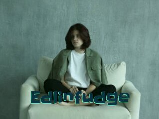 Edlinfudge