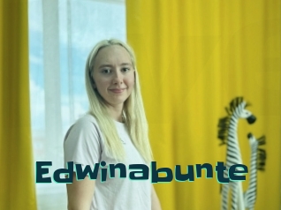 Edwinabunte