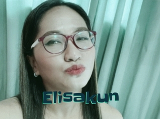 Elisakun