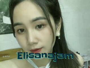 Elisanajam