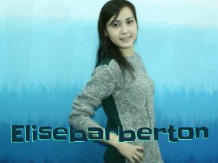 Elisebarberton