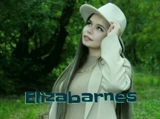 Elizabarnes