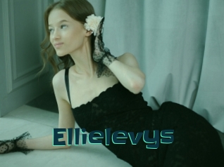 Ellielevys