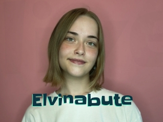 Elvinabute