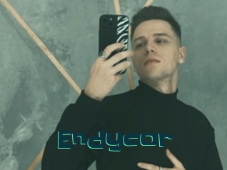 Endycor