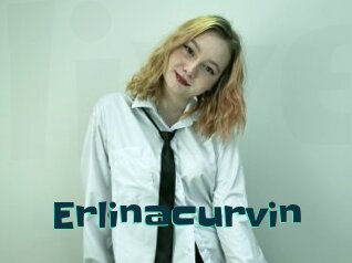 Erlinacurvin