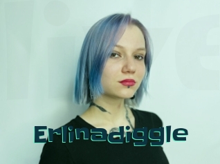 Erlinadiggle