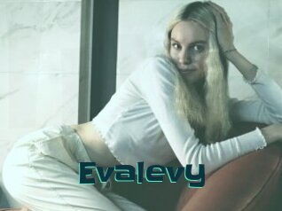 Evalevy