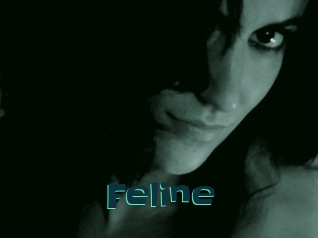 Feline