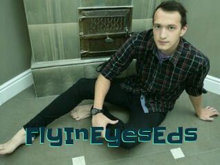 FlyInEyesEds