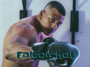 Falcon_hot